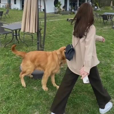 圣人飨宴