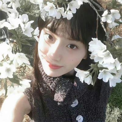 兰闺飞凤